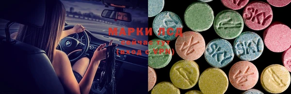 мет Алексин