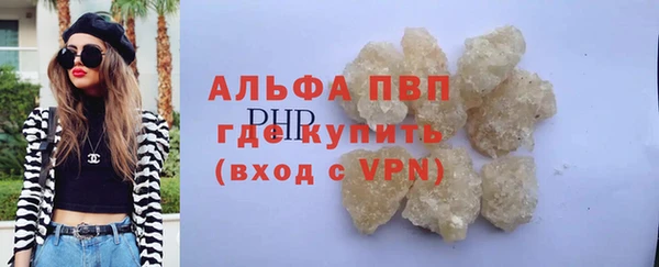 мет Алексин