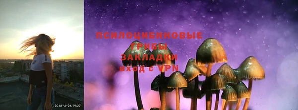ешки Алзамай