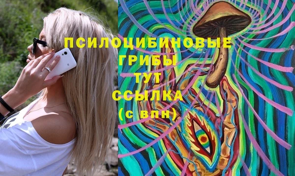 СК Алексеевка
