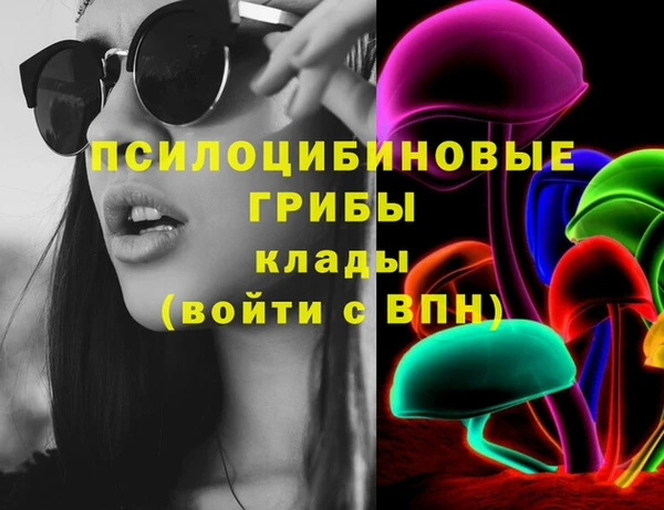 мет Алексин