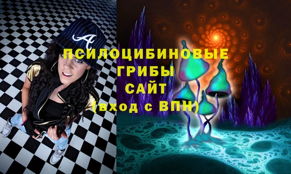 мет Алексин